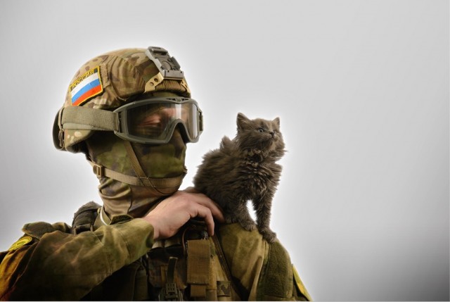МистОр военный