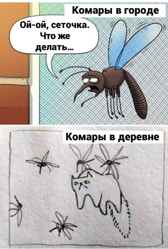 Весёлый полтишок 19.05.22