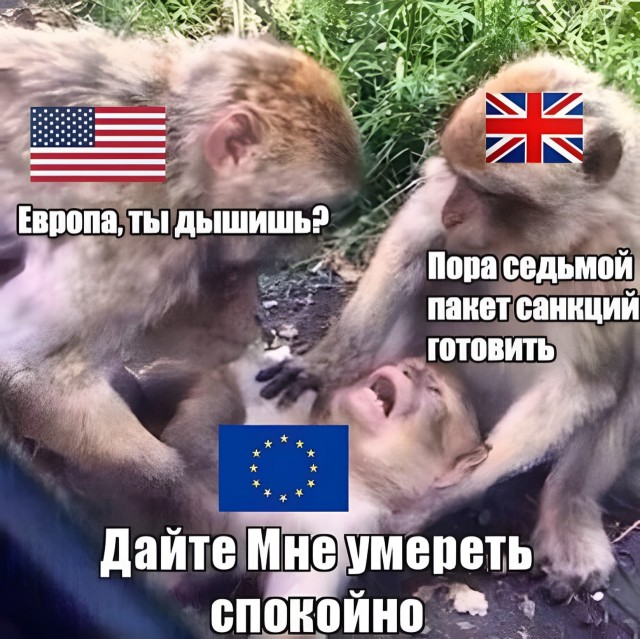 16845568.jpg