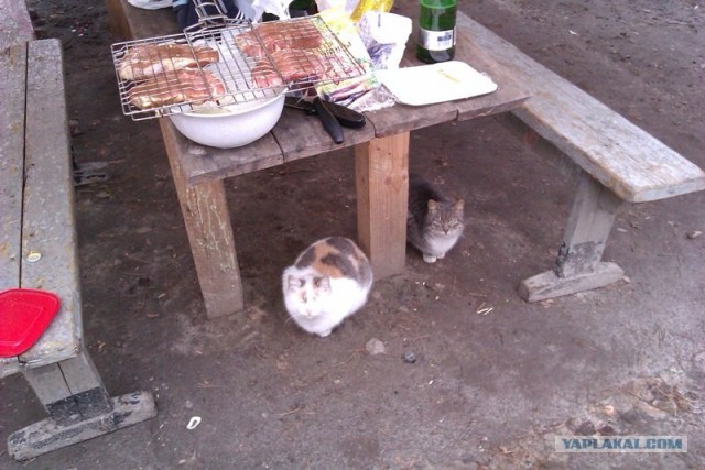 Первая вылазка 1 Апреля