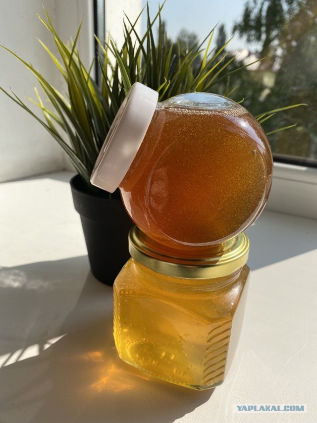 Продам мёд