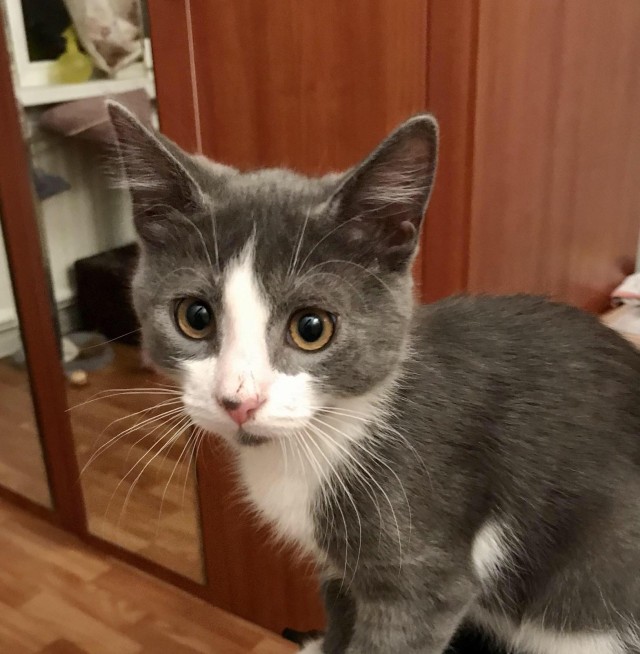 КотоФторник 23.08.22