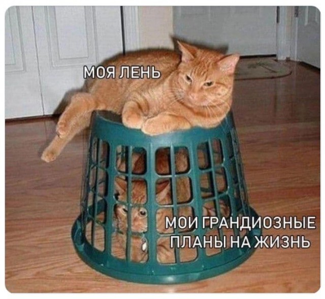 Картинки и мемы, всем хороших выходных