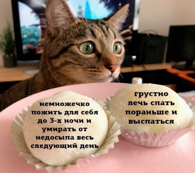 60 картинок