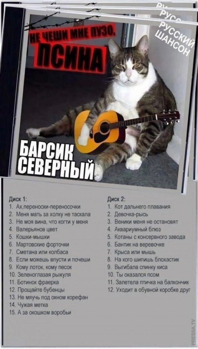 Баянисто-небаянистый юмор 24.10.22