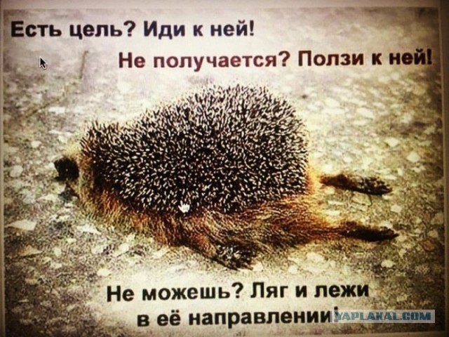 Странная женская натура. Вам для чего это надо?