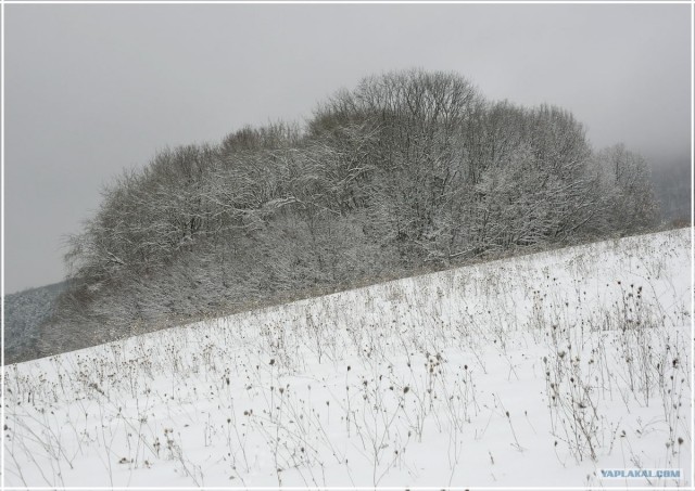 Крым. Терновка. Зимние дороги.