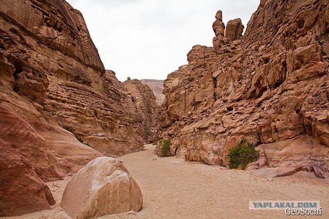 Синайские приключения. Шарм-эш-Шейх и окресности