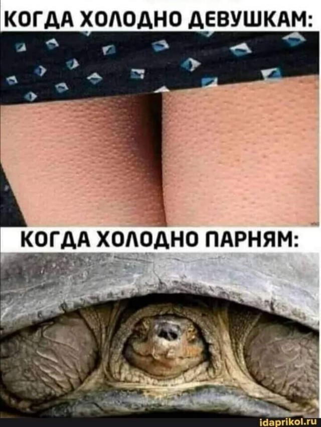 Юмор в картинках и без