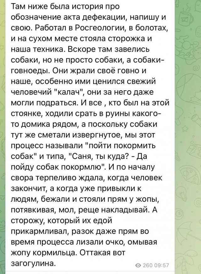 Народная меДИЧина 5023