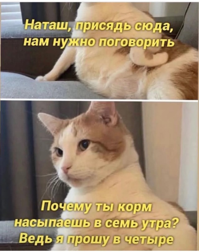 Так себе картинки 07.12.22
