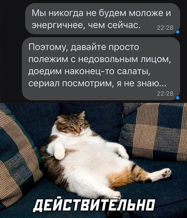 Весёлый полтишок 07.01.23
