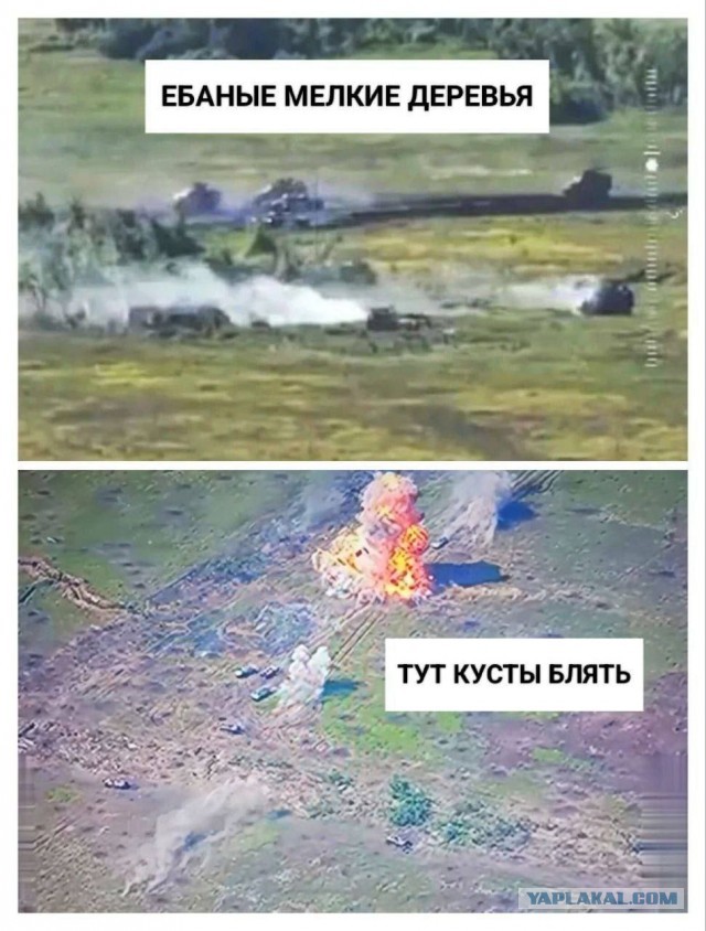 Британская разведка обвинила кустарники и мелкие деревья в замедлении контрнаступления ВСУ