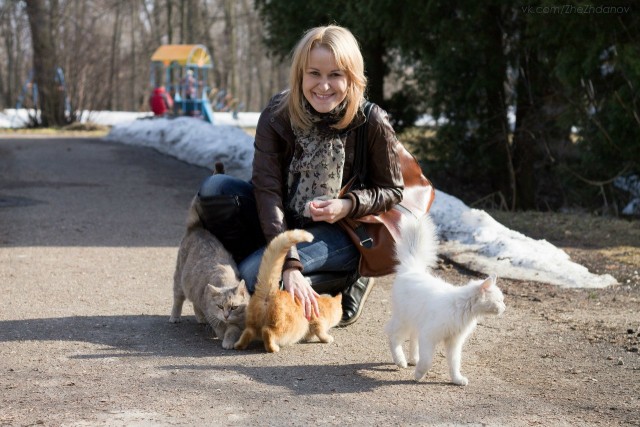 Котовторник 16.04.2013
