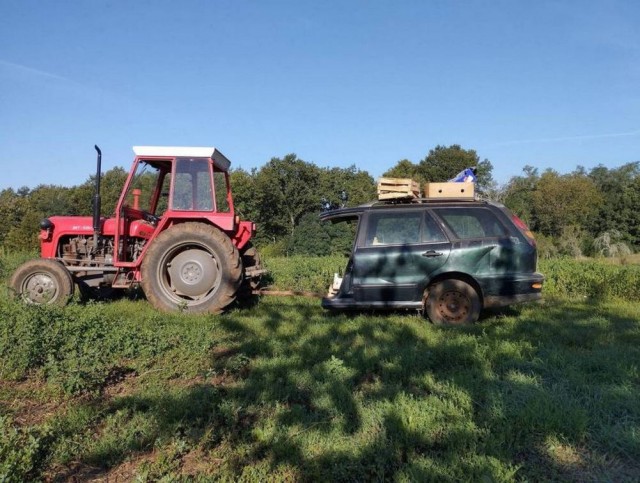 Прикольные картинки 17.09.23