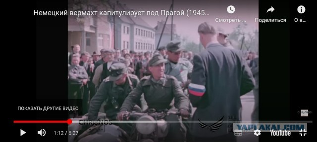 Вдова мобилизованного: власти живут своей счастливой жизнью
