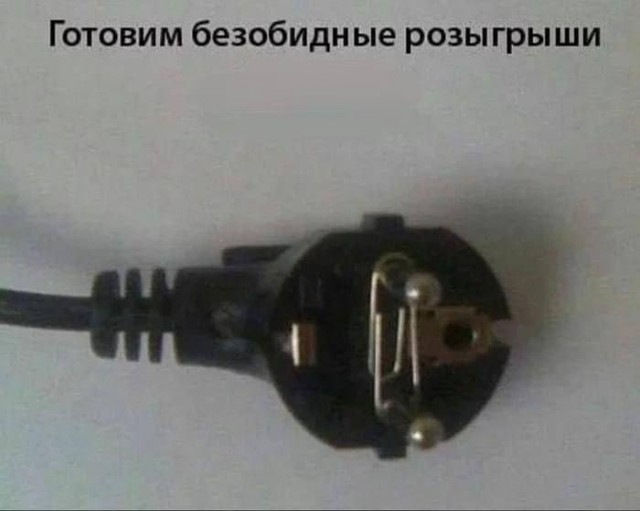 Весёлый полтишок 12.11.23