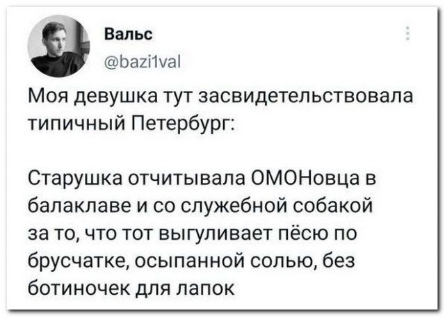 Забавные комментарии из социальных сетей (22.01.24)