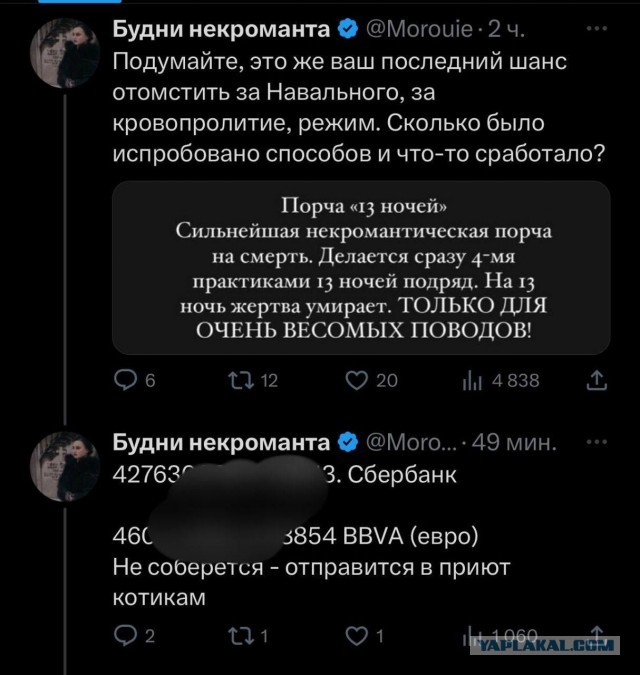 ⚡️ Алексей Навальный умер в исправительной колонии «Полярный волк» в посёлке Харп