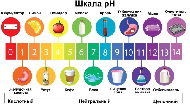 Четвёртый год в завязке. Отчёт