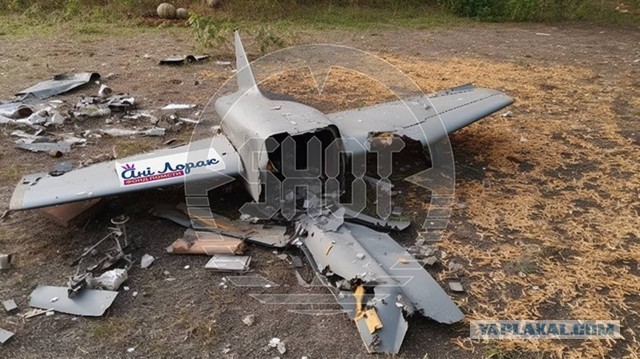 Украинская певица Ани Лорак подала заявление на российское гражданство
