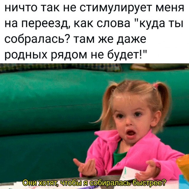 Весёлый полтишок 02.04.24