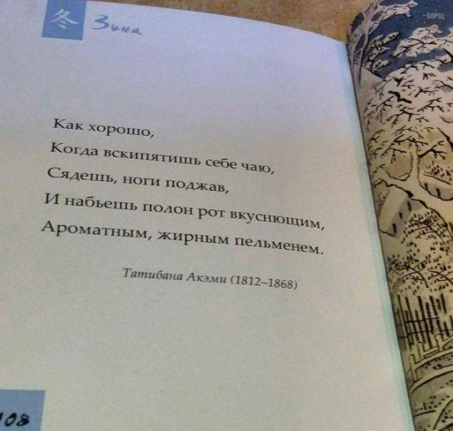 19094568.jpg