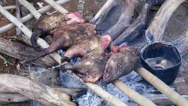 Малочисленное племя Боливии с самыми здоровыми сердцем и мозгом в мире.