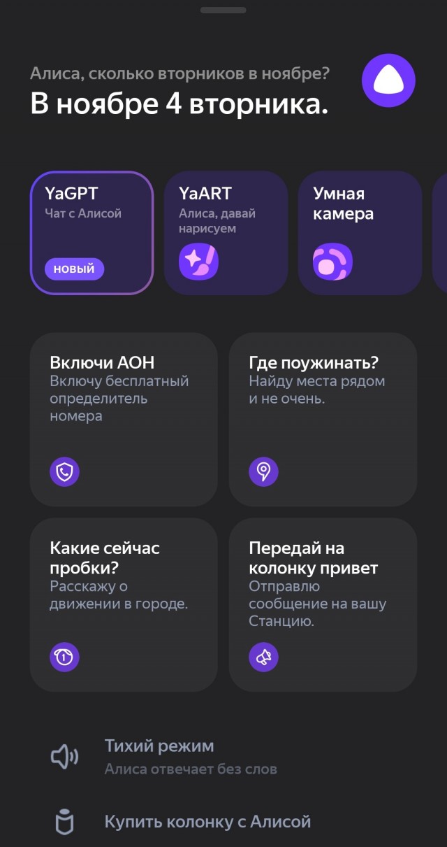 Алиса умная!!! Алиса что-то знает...
