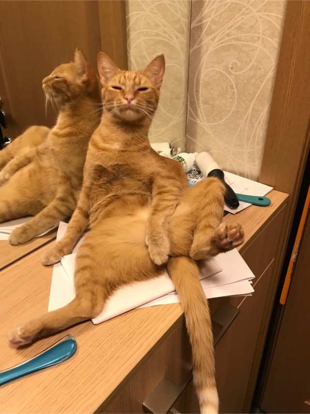 А это моя киска!