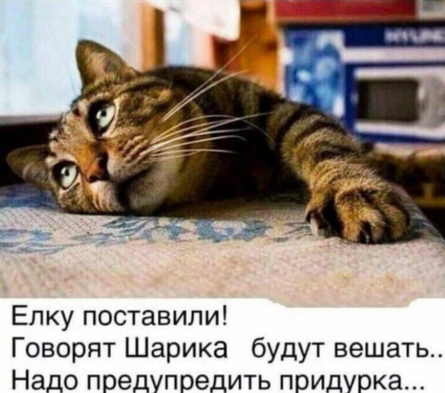 Картинков разных вам