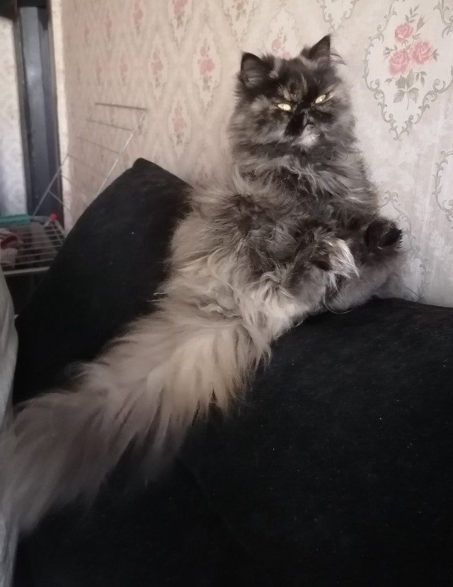 Раб дважды
