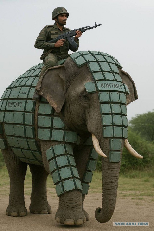 О ситуации в Индии