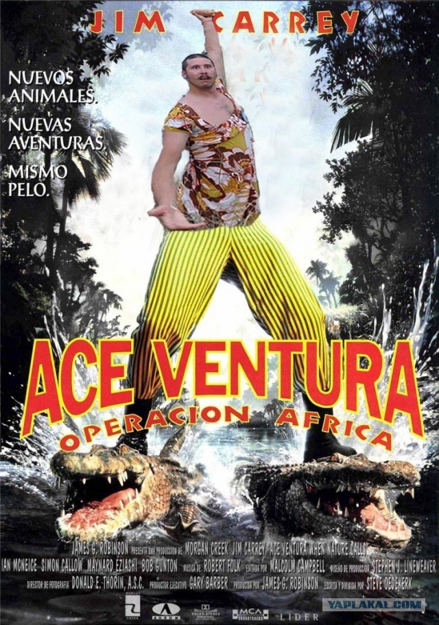 Мой друг нашел картошку!