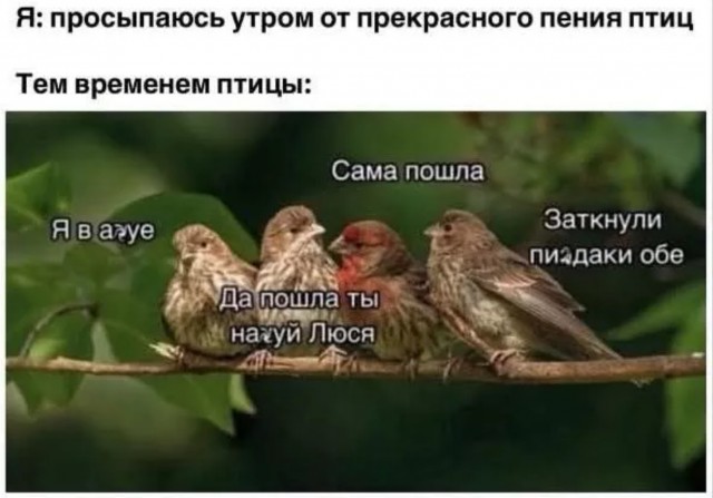 Завалялось тут случайно немного забавных картинок