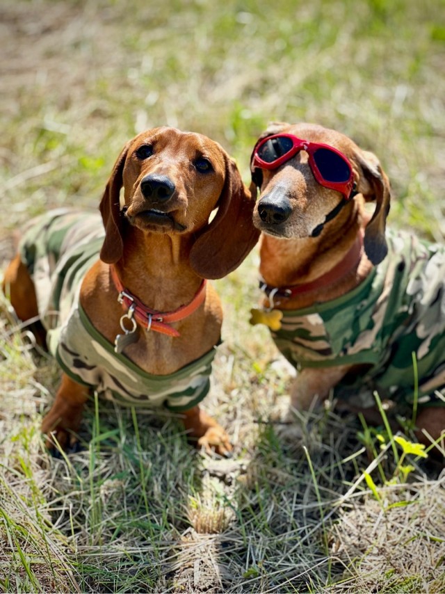 Сегодня четверг!