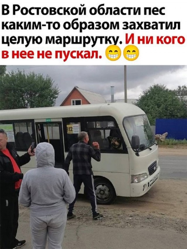 Так себе картинки 02.06.25