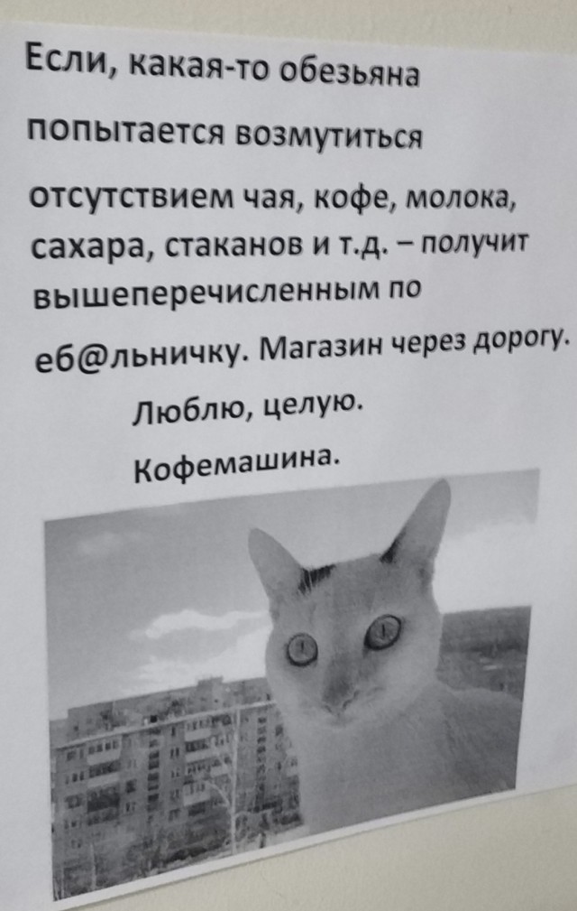 Веселое настроение в картинках (31.07.2025)