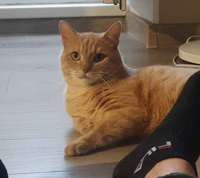 Принимайте в ряды которабов