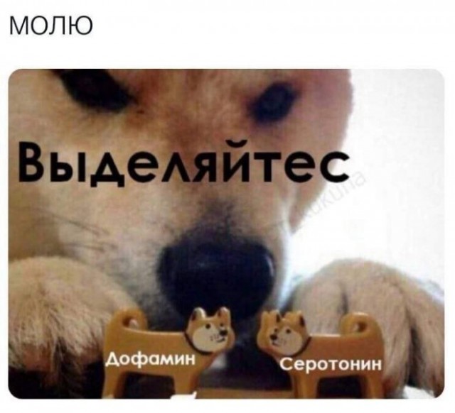 Веселые картинки в понедельник (01.09(