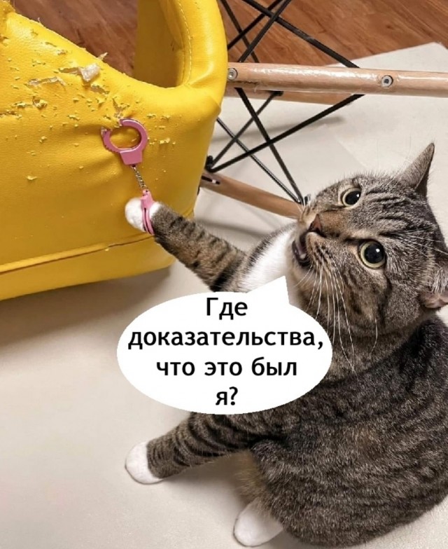 Так себе картинки 14.09.25