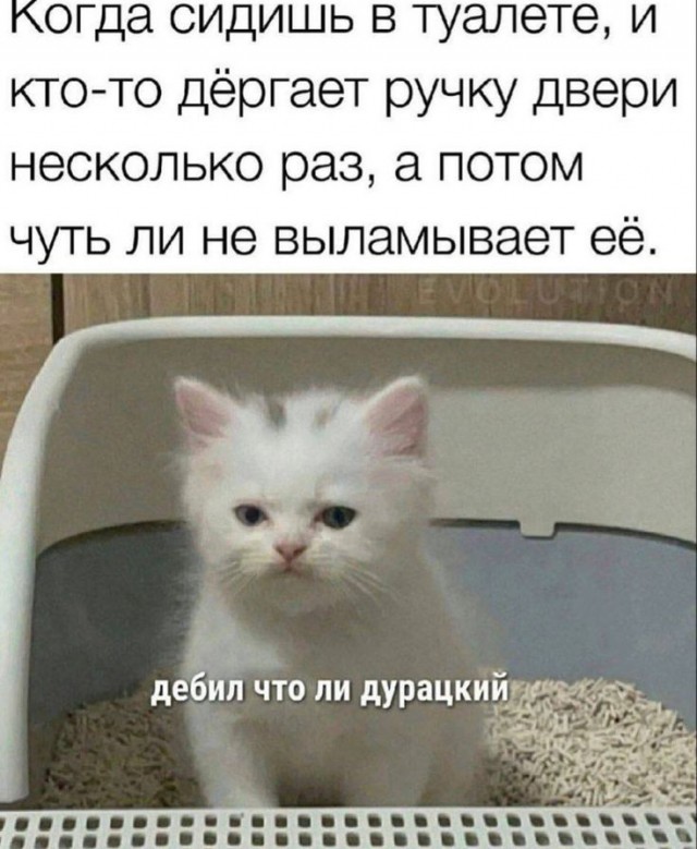 Марина, не нуди