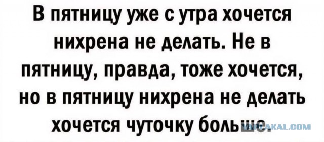 Пятничные бояны