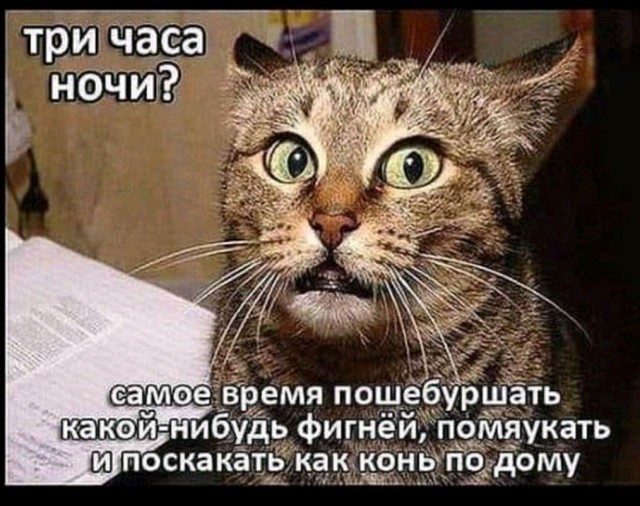 Прикольные и просто красивые картинки 18.11.2025