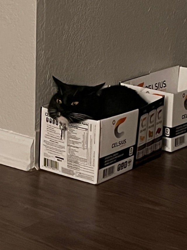 Котокоробковое