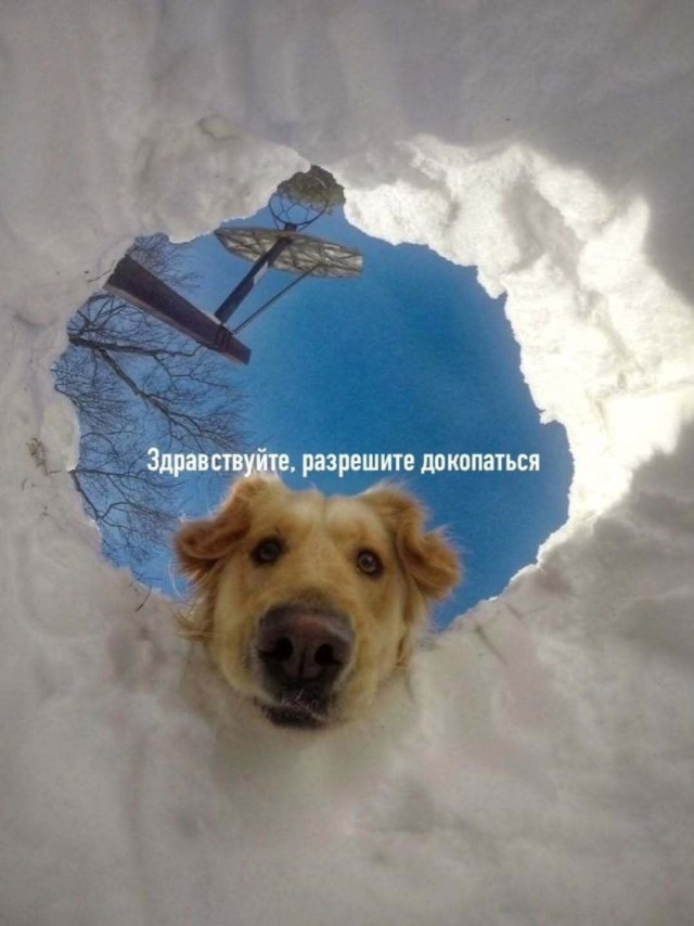 Нуштош. Познание как то, чего следует остерегаться во избежание нервного срыва (s5e6)