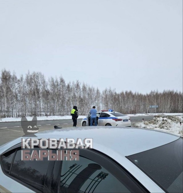 Подборка новостей из Новосибирска и области - власть и коровы