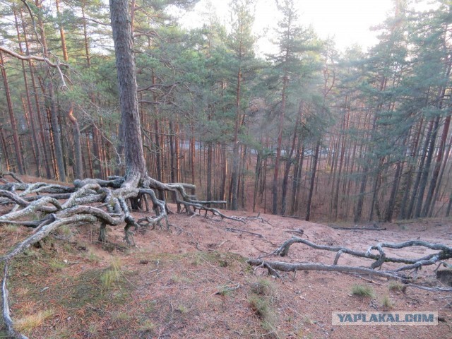 39 необычных фотографий, которые должны вам понравиться