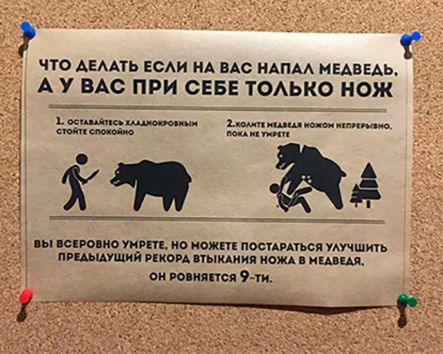 Никаких правил. Только сила. Только выживание.