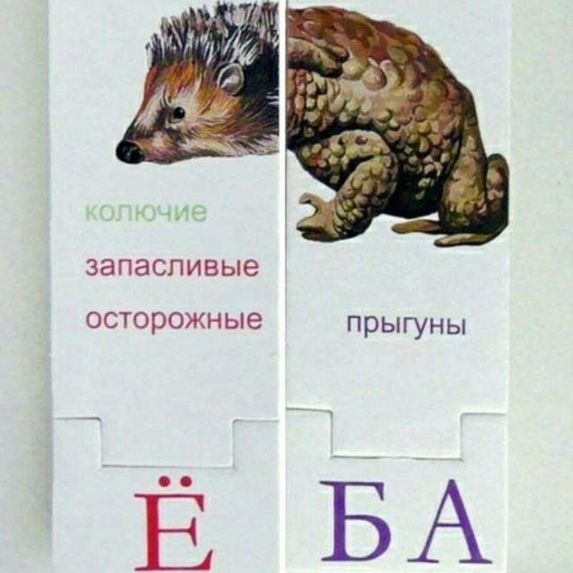 Картинки для деградации 239 (разной степени свежести)